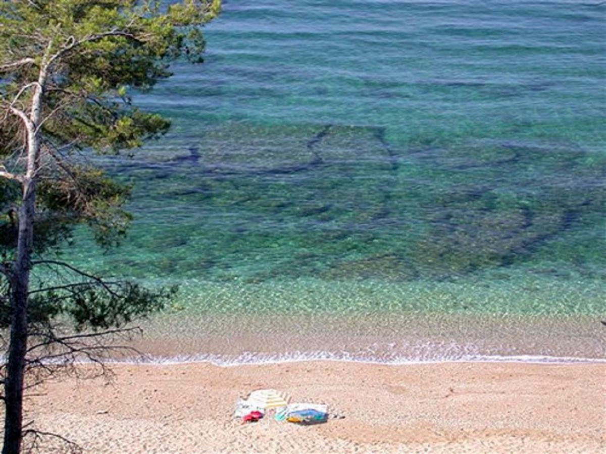 **** Beau T2 de 40 m2, jardin de 70m2, au calme, à 50 mètres de la plage Le Pradet Exterior foto